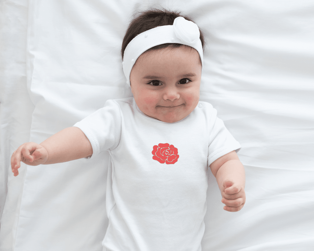 England Pride Rose/Lion Baby Grow